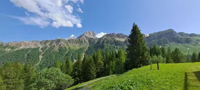 a view of a mountain with trees and a road at La Tana della Volpe, Falcade - BL in Falcade