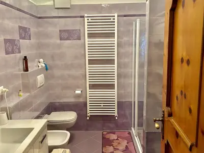 a bathroom with a shower and a toilet and a sink at Appartamento Olimpiadi 2026 Val di Fiemme in Panchia