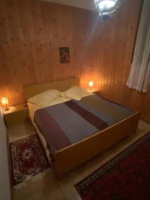 a bedroom with a bed in a room with wooden walls at EmilyNest in Vervò