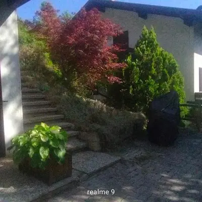 a set of stairs in front of a house with trees at EmilyNest in Vervò