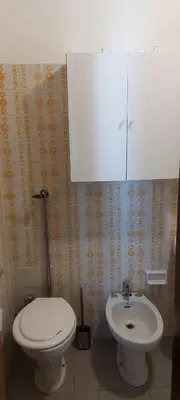 a bathroom with a toilet and a sink at Casa 33 in Predazzo