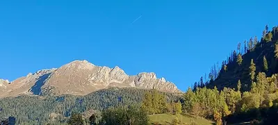 a view of a mountain with trees in the foreground at Casa 33 in Predazzo