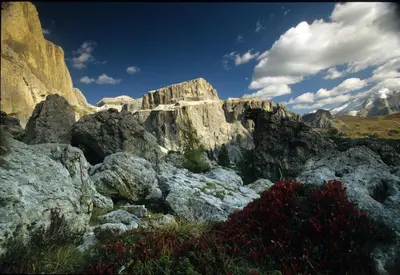 a view of a mountain with rocks and red flowers at Hotel Crepes de Sela in Campitello di Fassa
