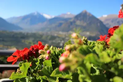 a group of red flowers with mountains in the background at Schenna Garni Eden Bed & Breakfast in Schenna