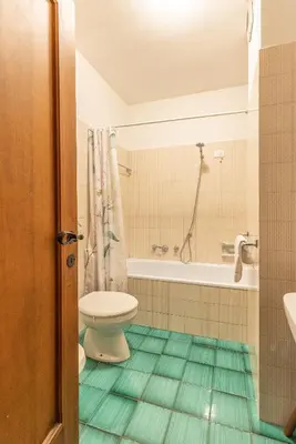 a bathroom with a toilet and a bath tub at Casa Bigontina, in pieno centro a Cortina in Cortina dʼAmpezzo