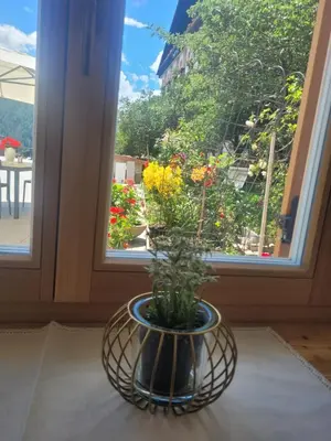 a vase sitting on a table in front of a window at Posta Apartments in Colle Santa Lucia