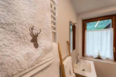 a bathroom with a deer stencil on the wall at Ciesa Abete Rosso in Caprile