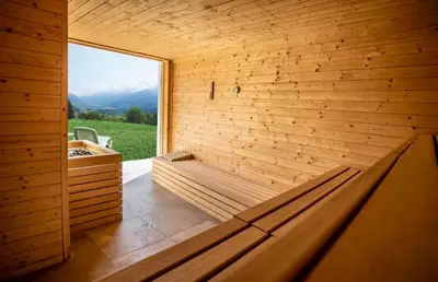 a sauna with a large window in a wooden wall at Olimpo Dolomitico in Cavalese
