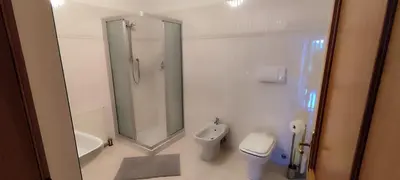 a bathroom with a shower and a toilet and a sink at Casa Ianes in Ronzone
