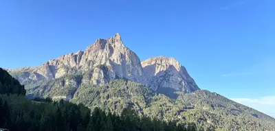 a large mountain with trees in front of it at AppartmentPircher 2 in Siusi
