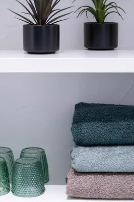 two plants in pots on a shelf with towels at Laubennest 3 in Merano