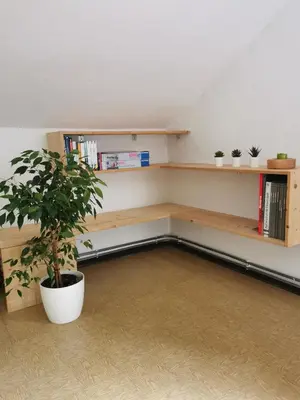 a room with a book shelf and a potted plant at Haus Maria in Campolasta