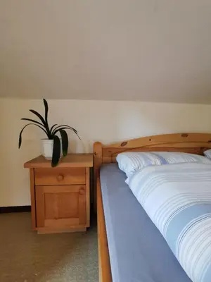a bedroom with a bed and a potted plant on a table at Haus Maria in Campolasta