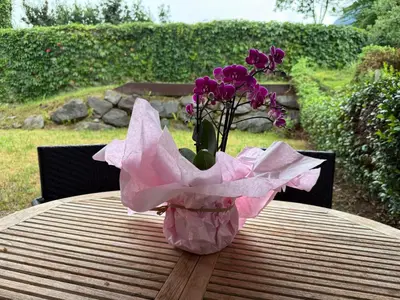 a vase of purple flowers sitting on a table at MarlingoStar con giardino e garage in Marlengo