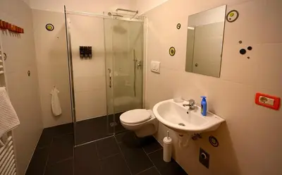 a bathroom with a shower and a toilet and a sink at MarlingoStar con giardino e garage in Marlengo