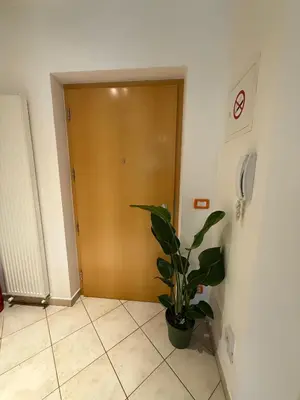 a hallway with a door and a potted plant at MarlingoStar con giardino e garage in Marlengo