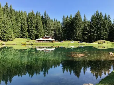 a view of a lake with trees in the background at Beautiful ground floor flat few steps from centre in Cortina dʼAmpezzo