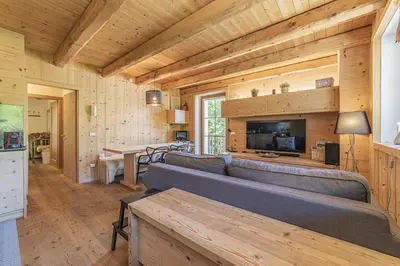 a living room with a couch and a television in a cabin at Alpine Heart in Falcade