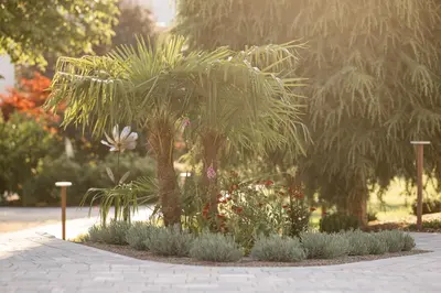 a palm tree and other plants in a garden at Villa Sawian in Appiano sulla Strada del Vino