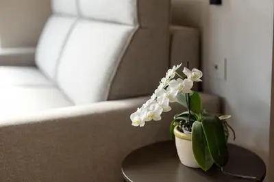 a pot of white flowers on a table next to a couch at Villa Sawian in Appiano sulla Strada del Vino