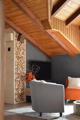 a living room with a couch and a fireplace at Mountain Suite with tub and view, Alpine design in Sanzeno