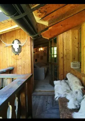 two dogs laying on a bench in a room at Cottage Cortina d Ampezzo in Cortina dʼAmpezzo
