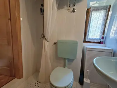 a bathroom with a toilet and a sink at Coldemies apartment in Alleghe
