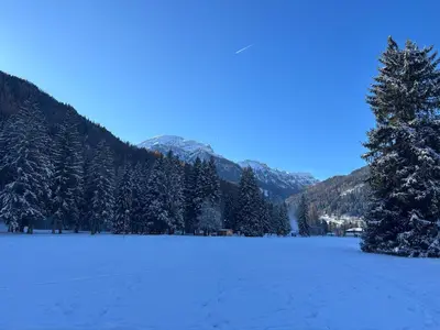 a snow covered field with a tree and mountains at Rifugio di Niki in Falcade