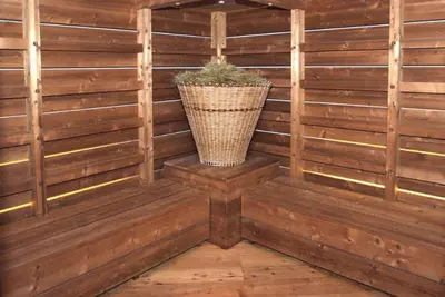 a corner of a sauna with a plant in it at Agriturismo Pianrestel in Cavalese