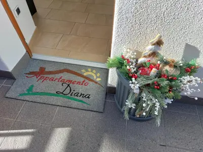 a welcome mat in front of a door with a christmas plant at Appartamento Diana in Cavalese