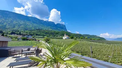 a patio with a view of a vineyard and mountains at Highlight Apartments in Appiano sulla Strada del Vino