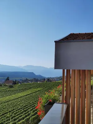 a room with a view of a vineyard at Highlight Apartments in Appiano sulla Strada del Vino