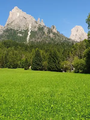 a field of green grass with mountains in the background at Villa Cecilia mono in Tonadico