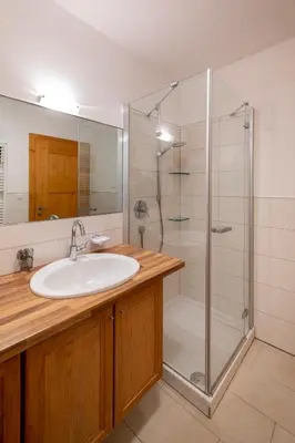 a bathroom with a sink and a shower at Thalerhof in Feldthurns