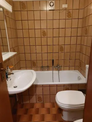 a bathroom with a toilet and a tub and a sink at Carezza Lake Apartment in Carezza al Lago
