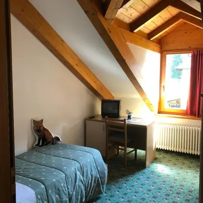a bedroom with a bed and a desk in a attic at Albergo La Bicocca in Paneveggio