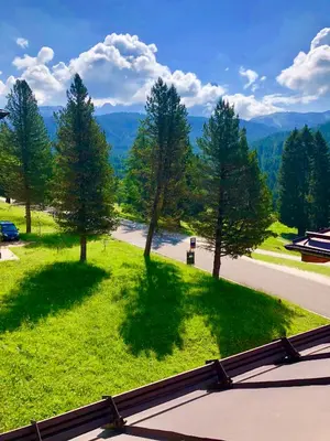 a view of a park with trees and a road at Albergo La Bicocca in Paneveggio