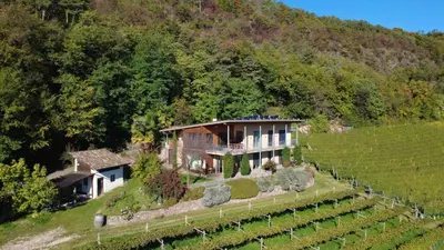 an aerial view of a house in a vineyard at Kreuzsteinhof in San Paolo