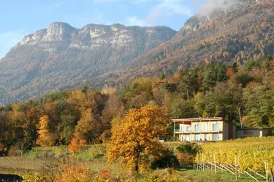 a house in a field with mountains in the background at Kreuzsteinhof in San Paolo