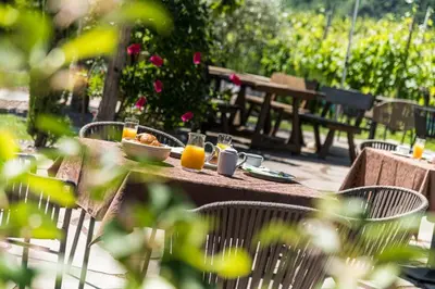 a table with a plate of food and glasses of orange juice at Hotel Garni Sonngart in Andrian