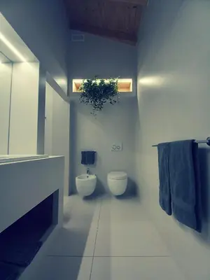 a bathroom with a toilet and a plant on the wall at NonSoloMele in Romallo