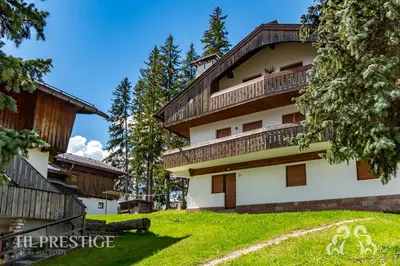 a screened porch with a view of a yard at Chalet Boite - Cortina in Cortina dʼAmpezzo