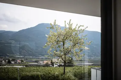 a tree in front of a window with a mountain at Panorama Apartment in Nalles