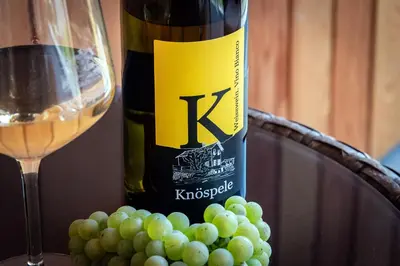 two glasses of white wine and grapes on a table at Knöspele - Brennerei & Genuss-Apartments in Brixen
