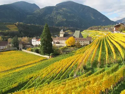 a vineyard in the mountains with a town and a bunch of grapes at Frunhaus - Zimmer, Apartments, Ferienwohnungen in Fiumes