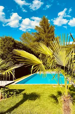 a swimming pool in a yard with palm trees at Frunhaus - Zimmer, Apartments, Ferienwohnungen in Fiumes