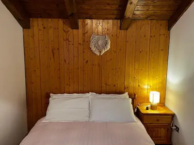 a bedroom with a bed with a wooden wall at La Tana di Giò in Forno di Zoldo