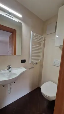 a bathroom with a sink and a toilet and a mirror at Apartments Angela in San Vigilio Di Marebbe