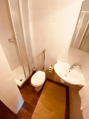 a bathroom with a toilet and a sink at Apartament Loft Fiemme in Castello di Fiemme