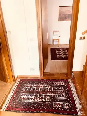 a hallway with an entrance with a rug on the floor at Apartament Loft Fiemme in Castello di Fiemme